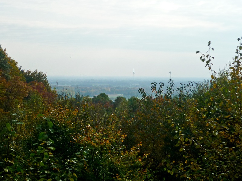 2012-10-20_14-54-44-3.jpg