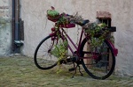 20080522-20-09-12-20