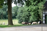 2012-07-01 09-59-24