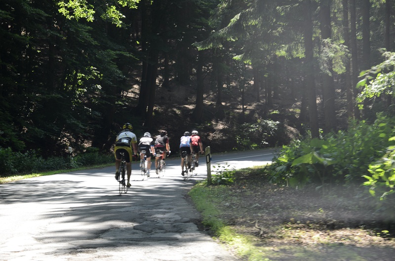 2012-07-01_11-14-46.jpg