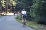 2012-07-01 11-16-16