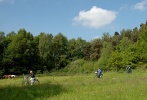 IMG00006