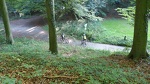 2014-10-03 11-34-44-15