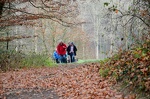 2014-12-07 13-30-39-8