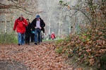 2014-12-07 13-30-54-10