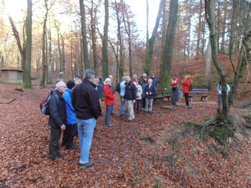 2014-11-23_10-26-25-1.jpg
