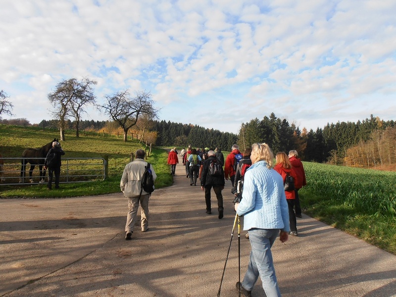 2014-11-23_11-01-35-16.jpg
