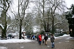 2015-02-01 11-35-42-9