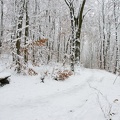 2015-02-01 12-38-47-26