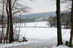 2015-02-01 13-17-31-40