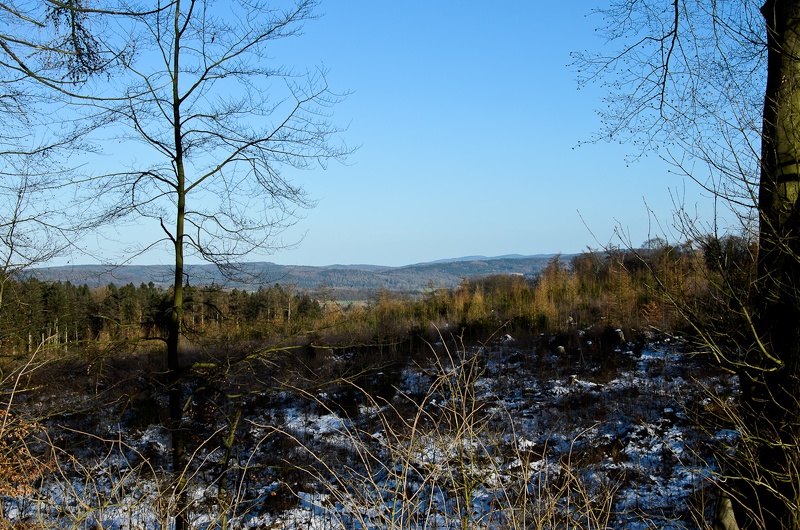 2015-02-08_16-34-22-2.jpg