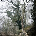 2015-02-15 14-22-38-11