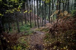 8-11-2015 Furlbachtal Emsquellen