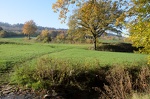 2019-11-10 11-56-05