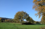 2019-11-10 11-57-02