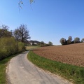 IMG 20220423 150338
