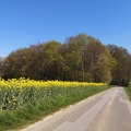 IMG 20220423 151104