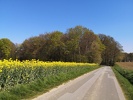 IMG 20220423 151104