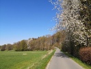IMG 20220423 153522