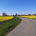 IMG 20220423 161006