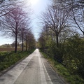 IMG 20220423 163656