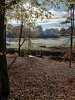 IMG-20221120-WA0004