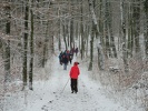 Winterwanderungen 2022/23