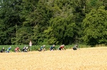 2023-07-02 08-46-13-49
