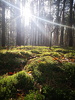 IMG-20250202-WA0004