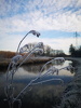 IMG-20250202-WA0006