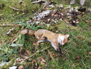 IMG-20250216-WA0014