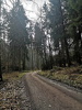 IMG-20250216-WA0027