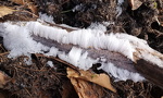 IMG-20250216-WA0029