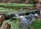 Wandern