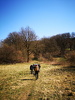 IMG-20250316-WA0007