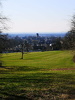 IMG-20250316-WA0008